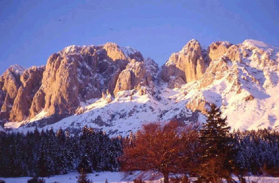 Hotel Prealpi